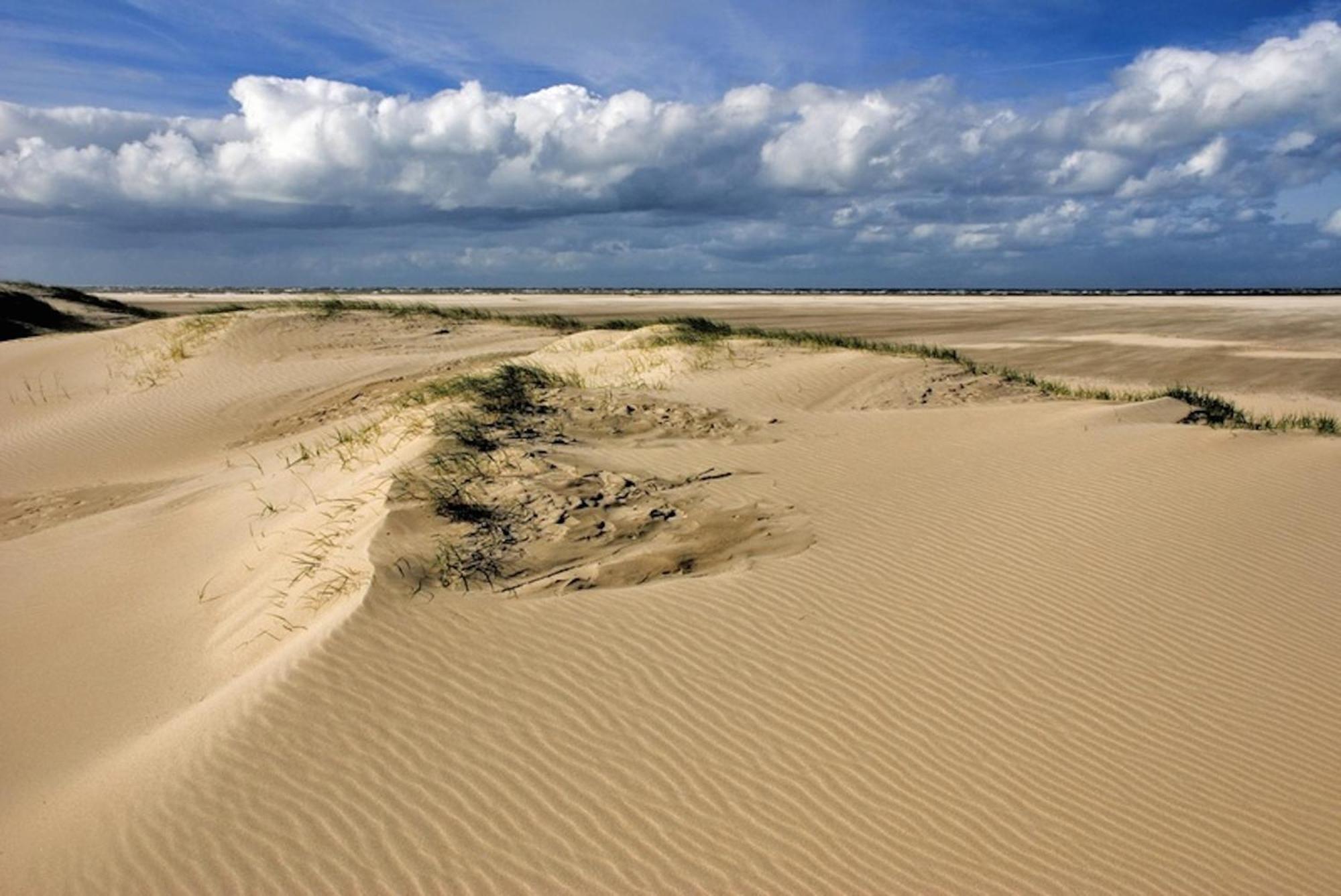 Ara Dune Hotel De Panne Eksteriør billede